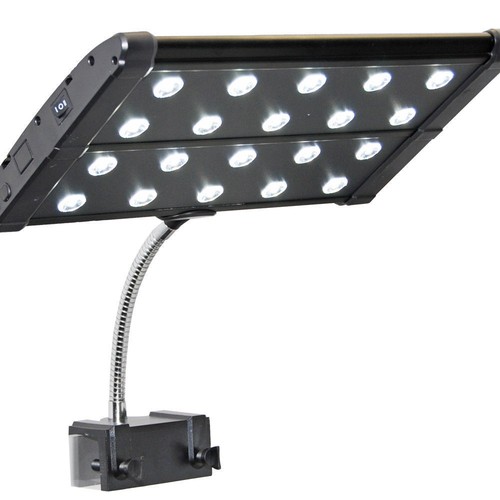 Aquarium Led Lighting for Video Recording: Capture Stunning Footage