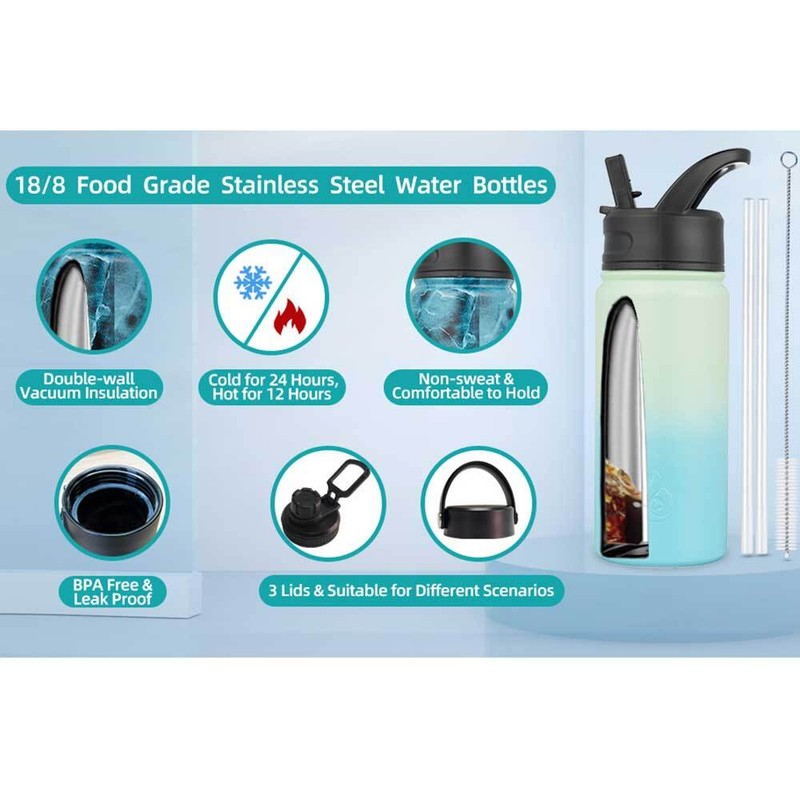 Stainless Steel Insulated Water Bottle W/ Straw Lid Wide Mouth Vacuum Flask 27oz