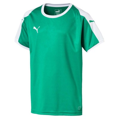 

Футболка Puma Liga Logo с круглым вырезом и короткими рукавами для мальчиков, молодежная, зеленая 703418-05, Зеленый, Puma Liga Logo Crew Neck Short Sleeve Soccer Jersey Youth