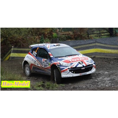 Sunstar 1/18 207 S2000 WRC No.2 2010 Model Car Diecast Metal Collection Gifts
