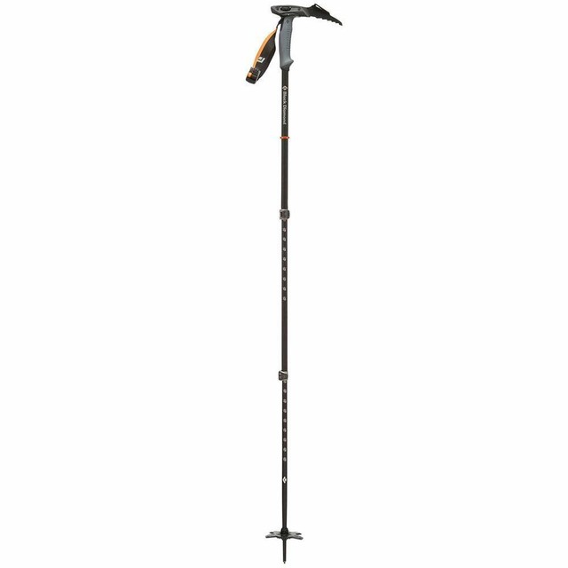 whippet ready ski pole