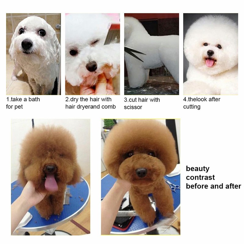 8X Professional Pet Dog Grooming Scissors Shear Hair Cutting Set Curved