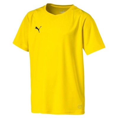 

Футболка Puma Liga Core с v-образным вырезом и короткими рукавами из джерси для мальчиков, размер , повседневные топы, Желтый, Puma Liga Core VNeck Short Sleeve T-Shirt Jersey Youth