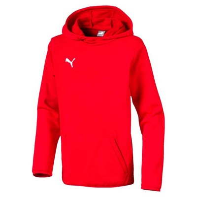 

Puma Liga Casuals Pullover Hoodie Youth Boys Красная повседневная верхняя одежда 655636-01, Красный