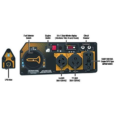 Firman Generators H03651 4550/3650 Watt Dual Fuel Electric Start Generator, 