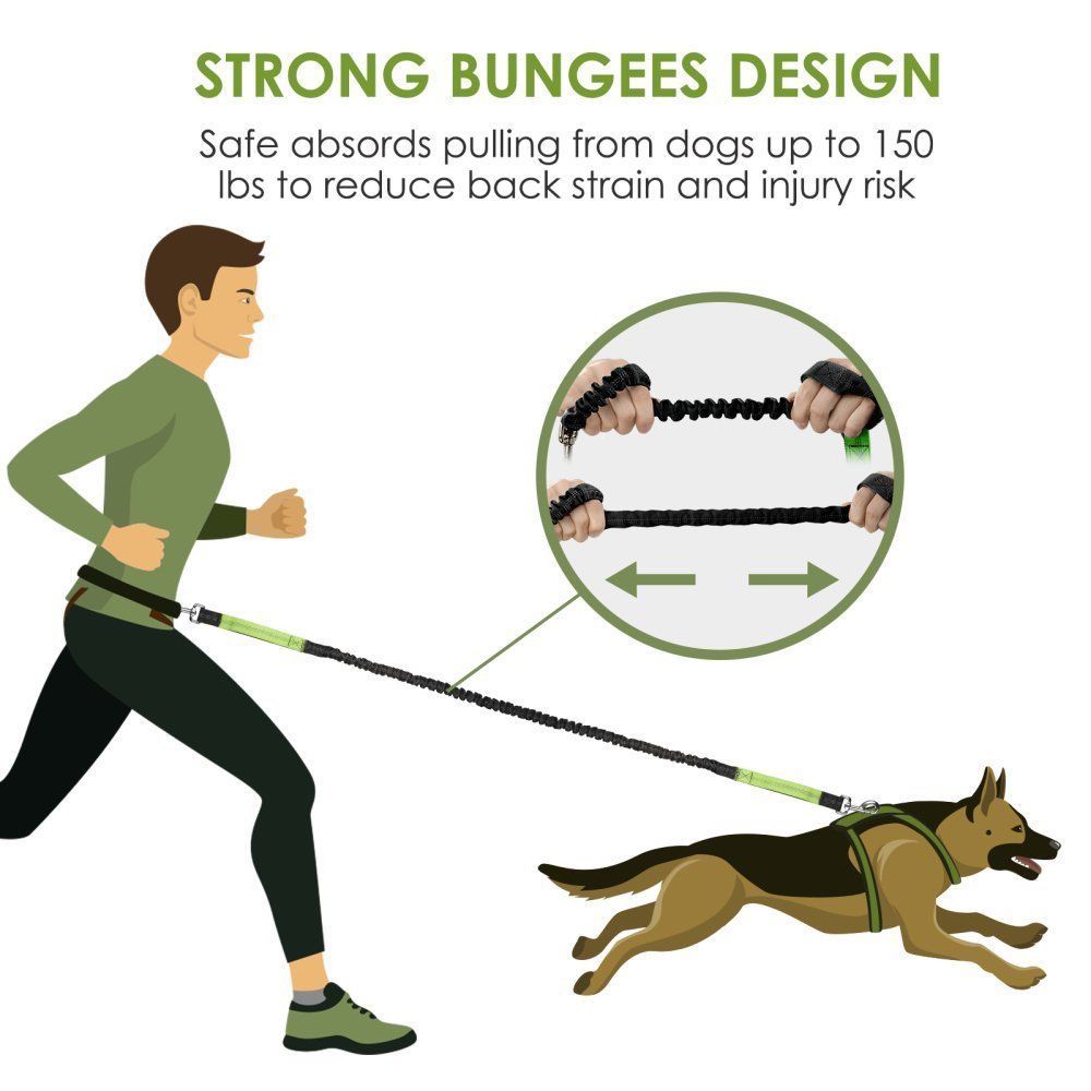 KiddyWoof Hands Free Dog Leash Lead Walking Belt Running Skating Bike riding