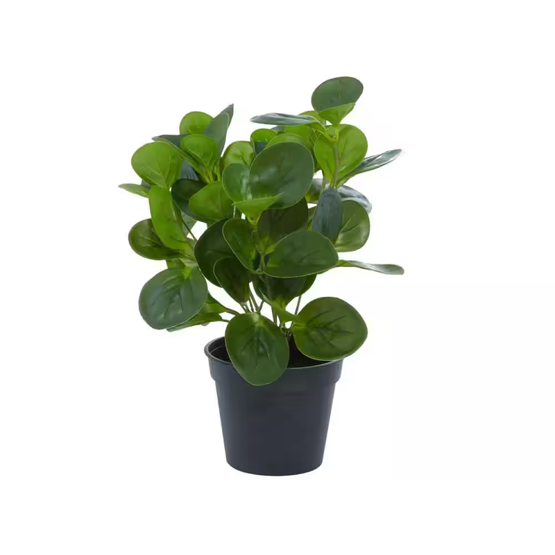 Eucalyptus Artificial Plant 13in Indoor Outdoor Green Faux Shrub Black Pot Decor