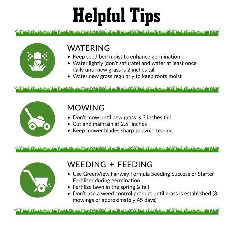 3 Lbs. Fairway Formula Grass Seed Perennial Ryegrass Blend