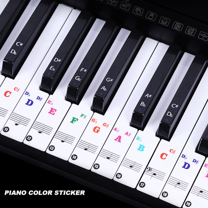 Color Piano Stickers for 49/61/ 76/88 Key Keyboards – Tran
