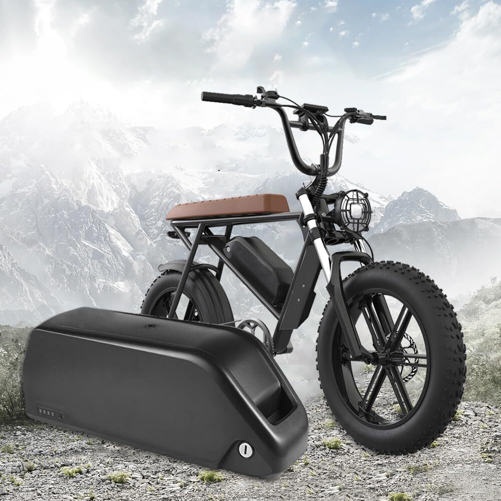 52V 30Ah Ebike Battery 0W-1500W Samsung New Li-ion hailong Electric Bike Battery