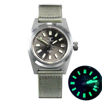 38mm Tandorio Gray dial Sapphire Glass NH35A PT5000 Automatic diving Mens Watch
