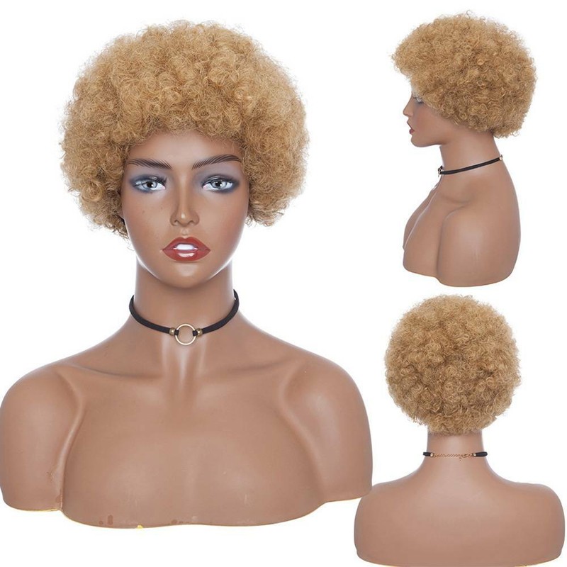 HOT Thick Black Afro Curly Wigs 100% Remy Brazilian Human Hair Fluffy Kinky Wigs