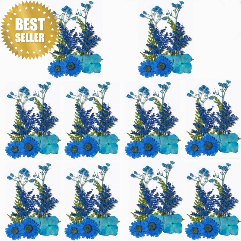 100 Pieces (10 Packs) Dried Pressed Flowers for Resin, Dry Pressing Floral DIY M