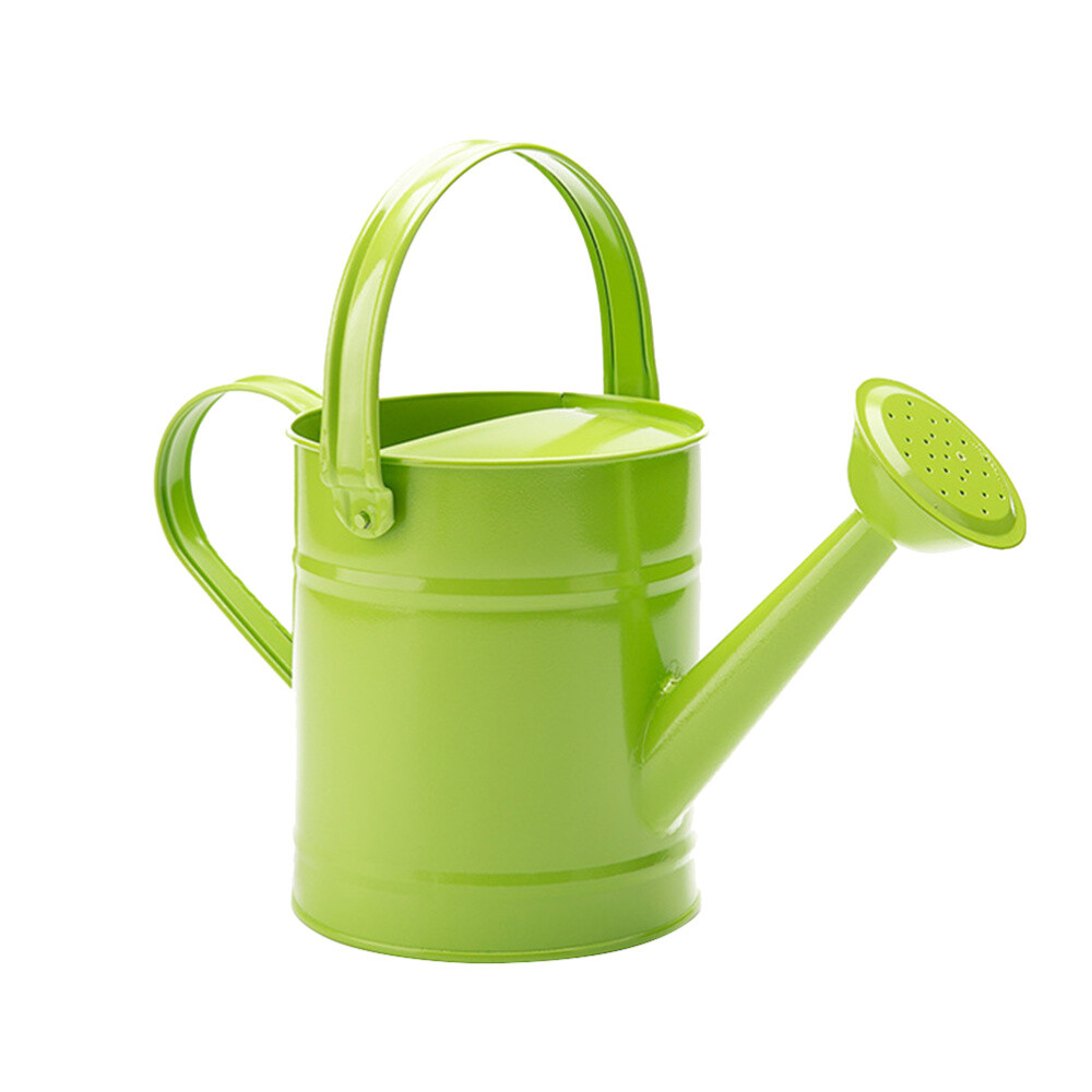 1Pc Watering Kettle Practical Sprinkled Kettle Iron Watering Pot for