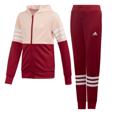survetement adidas capuche