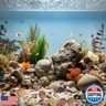HappyFiller Decorative Natural Pebbles Polished Rocks Stones Mixed Color for Aquarium Gravel,Fish Turtle Tank,Outdoor Indoor Plants Top Dressing,Garden Landscaping,Home Vase Filler Decoration,10 LB