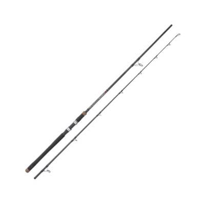 Jenzi Sea Rod Seamaster Pilk And Spoon 50-100g Spinning Rod Fishing Rod