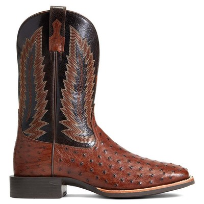 

Мужские коричневые классические ботинки Ariat Quantum Primo Ostrich Square Toe Cowboy 10040304, Коричневый, Ariat Quantum Primo Ostrich Square Toe Cowboy