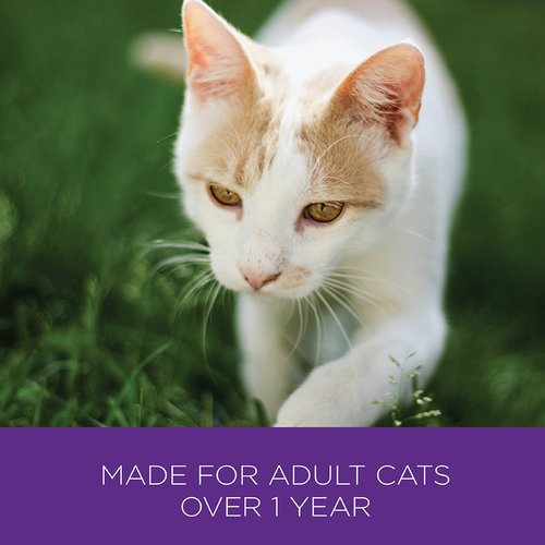 Wellness Healthy Indulgence Natural Grain Free Wet Cat Food, Morsels Tuna, Pouch