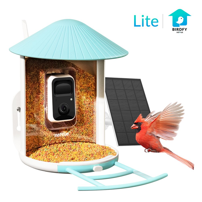 Camera Outdoor  Birdfy Smart Bird Feeder For Bird Watching
