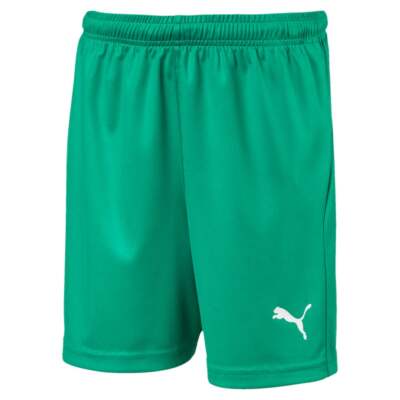 Футбольные шорты Puma Liga Core для мальчиков, зеленые, повседневные, 703437-05