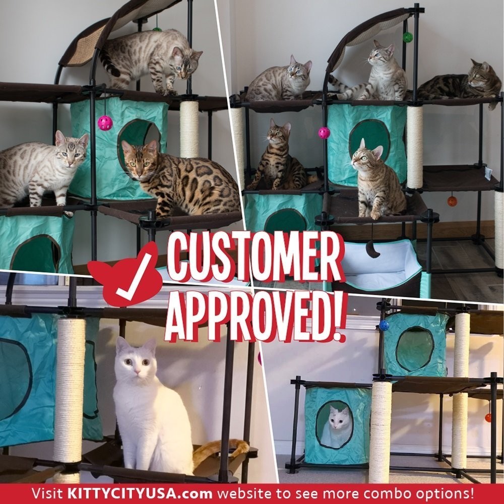 Kitty City Claw Meg, kitty Condo Duplex with Toys