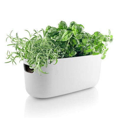 Eva Solo Herb Pot with Irrigation System Herb Pot Ceramic / Plastic White
