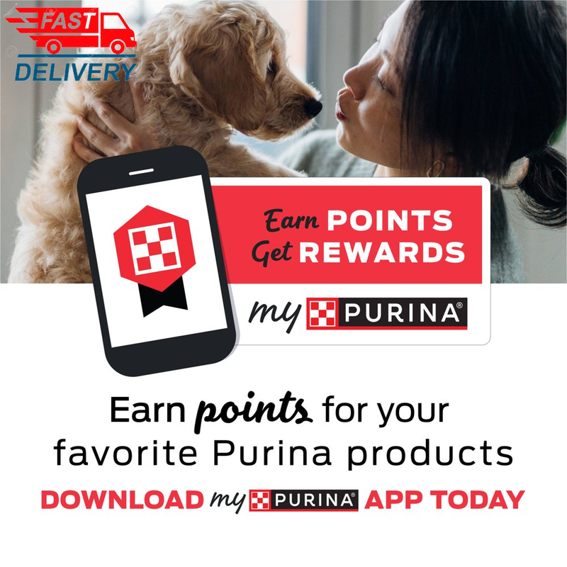 Purina Cat Chow Complete Dry Cat Food, 20 Lb Bag 🐱🐱🐱