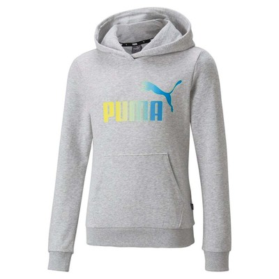 

Puma Essentials+ Bleach Logo Pullover Hoodie Youth Boys Серый Повседневный Спортивный Выход, Grey, Puma Essentials+ Bleach Logo Pullover Hoodie Youth