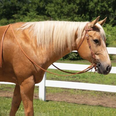 Billy Royal Harness Leather Quick Change Horse Bridle |  Handcrafted Leather