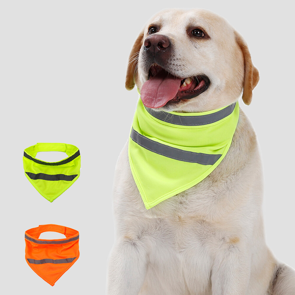 Bib Safety