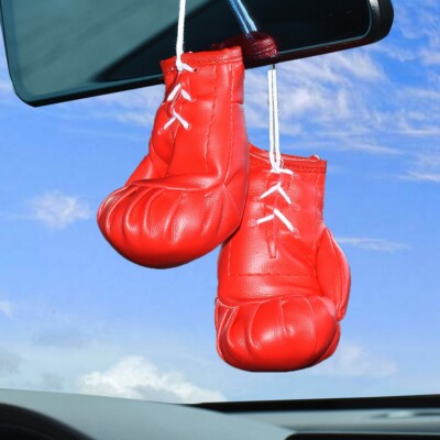 Boxing gloves for car mirror 2025