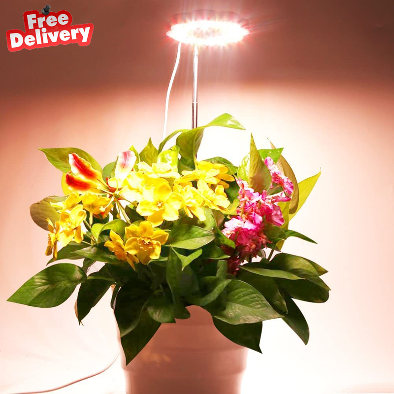 LED Grow Light for Indoor , Full Spectrum Plant Halo Lights with Red Light, Heig