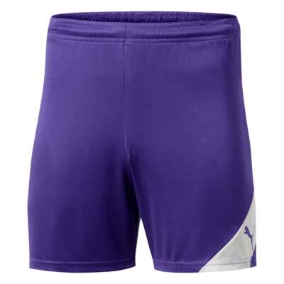 Мужские шорты Puma Santiago Tj Purple Casual 703403-10