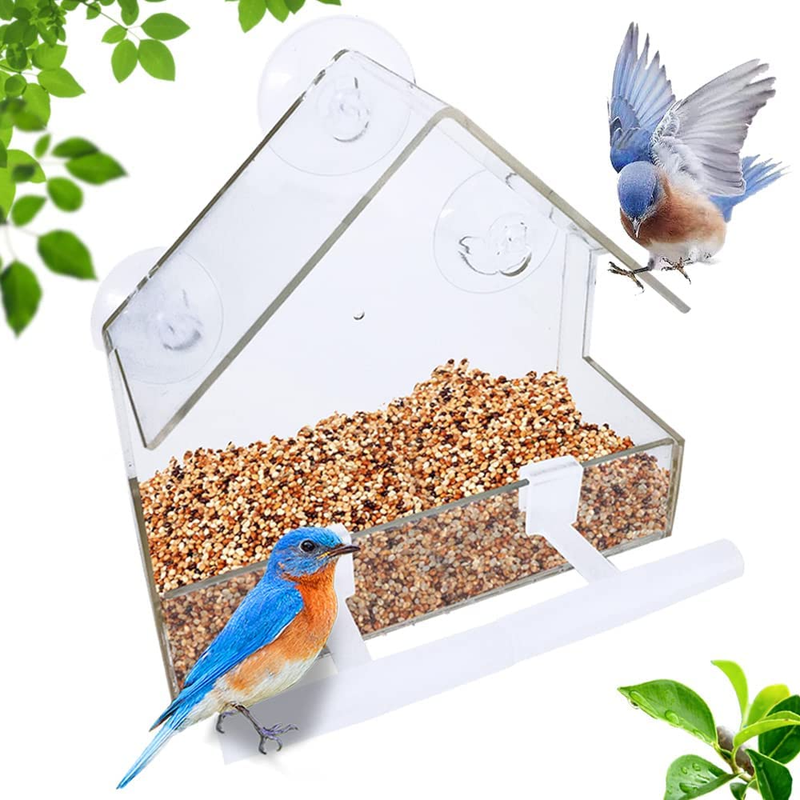 Window Bird House for Outside with 2Rod Small Acrylic Window Suction Bird Feeder