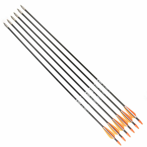 6pcs 31 inchs Fiberglass Arrows Archery Target For Compound 