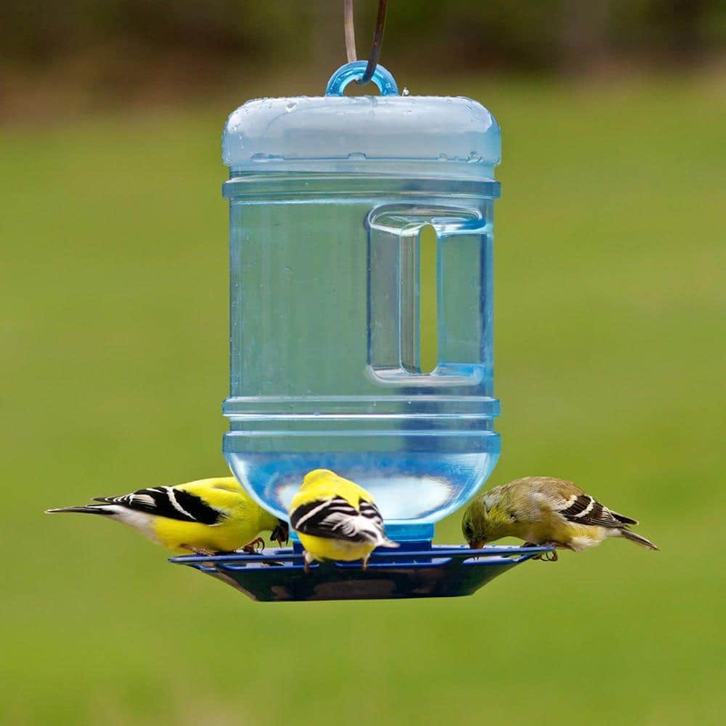 Water Cooler Hanging Bird Waterer - 48 oz Capacity Hydrated Yard Birds Reservoir