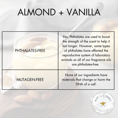 Almond + Vanilla | Fragrance Oil for Candle Making, Soap Making, and Tarts