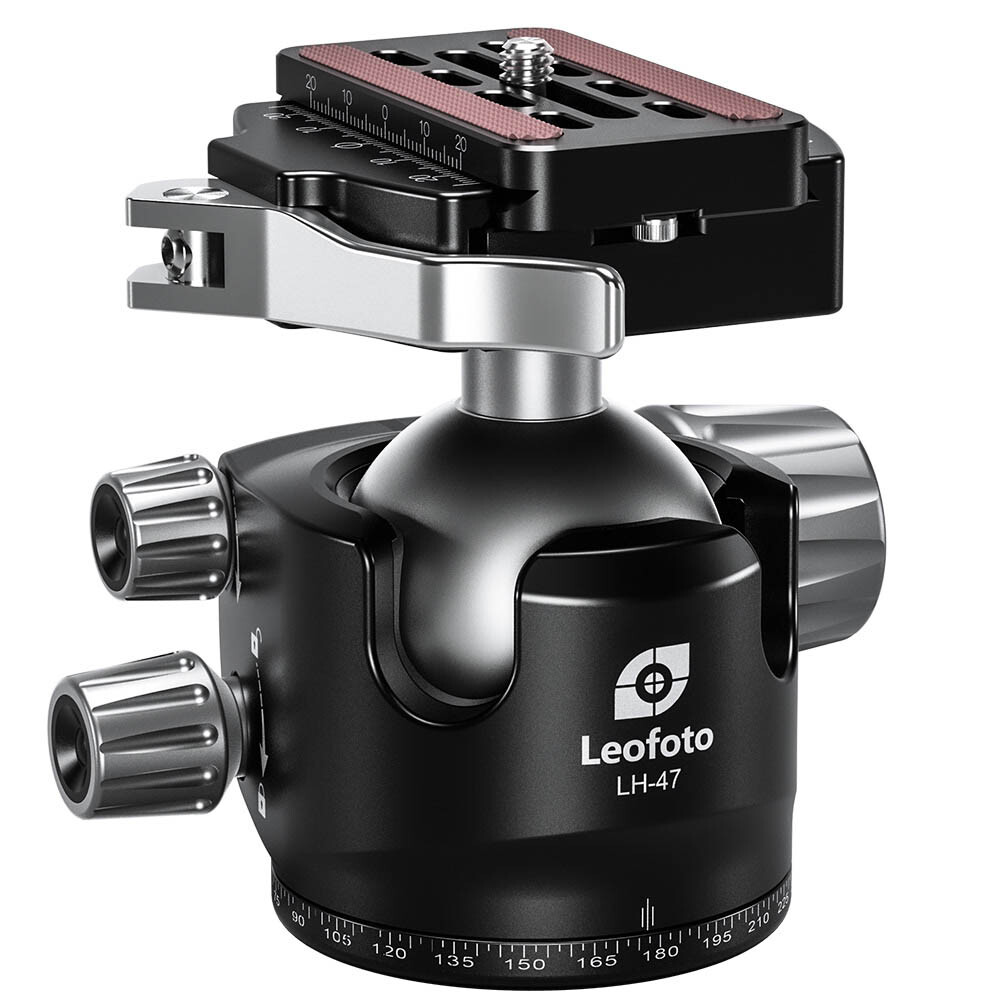 LEOFOTO LH-47LR Testa a Sfera con Morsetto a Leva LR-70 + Piastra QR