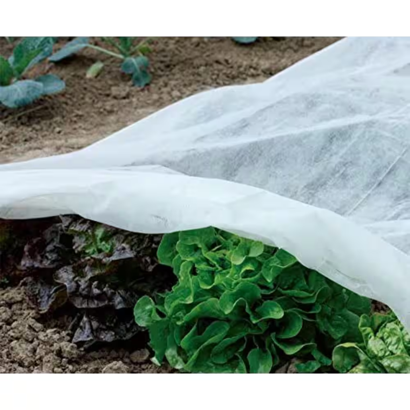 Plant Row Cover and Frost Blanket 14 ft x 50 ft for Garden Seed Germination