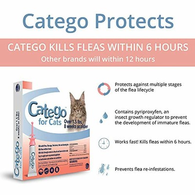 SALE Flea And Tick Control For Cats (6 Pack), 1.5 Lb/One Size Pet Supplies