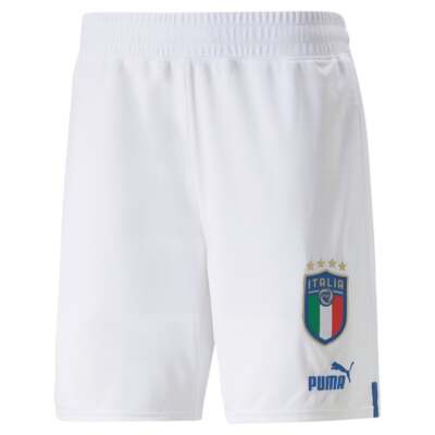 

Футбольные шорты Puma Italy 2223 Replica Мужские белые повседневные 76566808, Белый, Puma Italy 2223 Replica Soccer Shorts