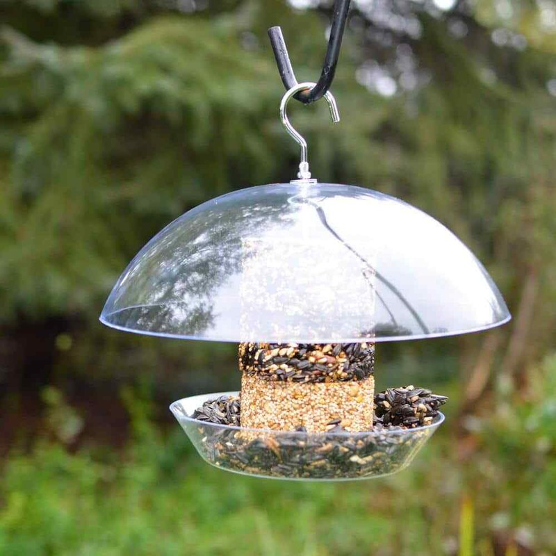 For Seed, Squirrel Proof, Songbird, Bluebird, And More