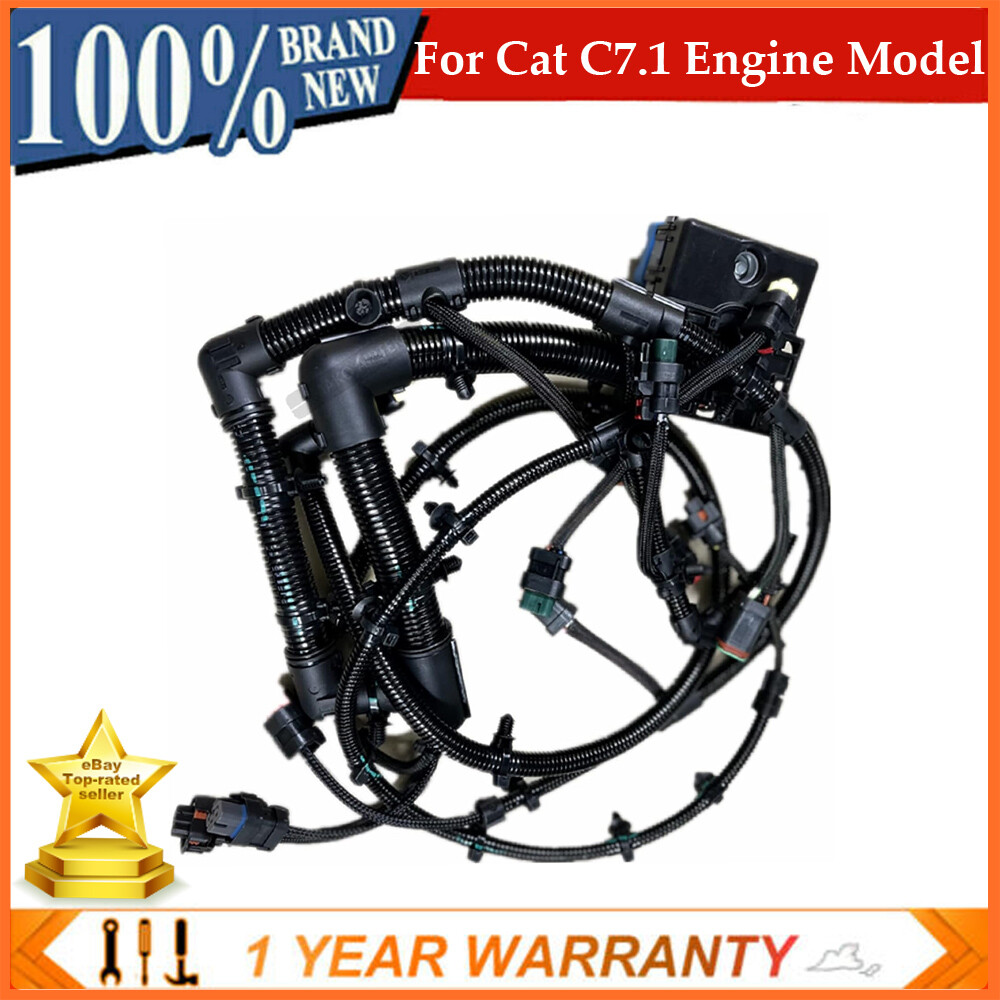 Cat　0609 0609-782.jpg