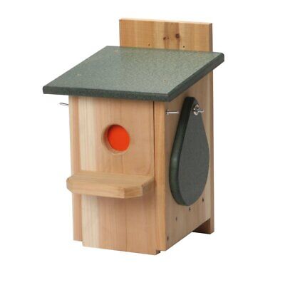 Ravenox Sparrow and Starling Eliminator Trap