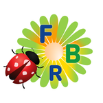 ferramentabrikobonomi