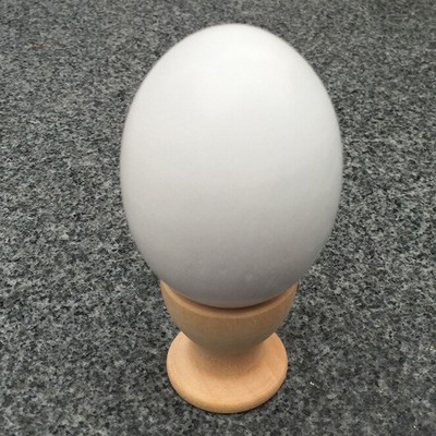 Kids DIY Painting Wooden Color Egg Toy Easter Egg Education Toys Gift White Toys