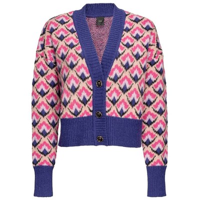 Pre-owned Pinko Multicolor Acrylic Sweater