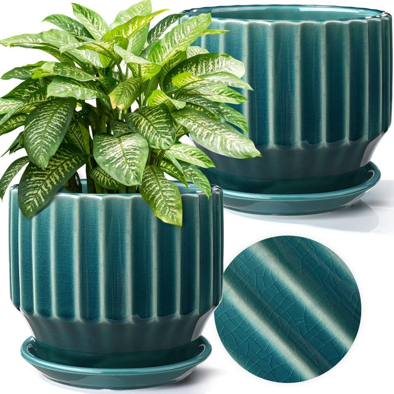 Plant Pots 6 Inch Ceramic Pots for Indoor Plants Set of 2 Flow...