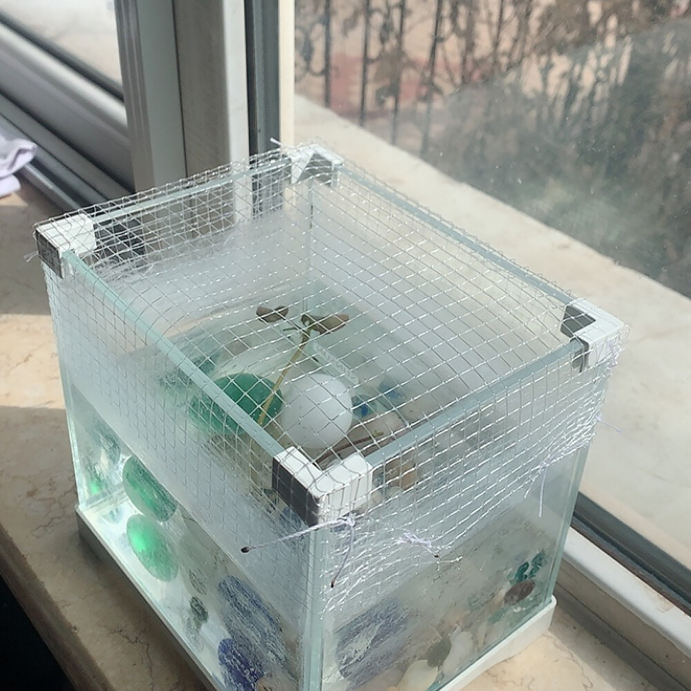 PE Mesh Netting Aquarium Screen Net DIY Fish Tank Air Screen Net Cover